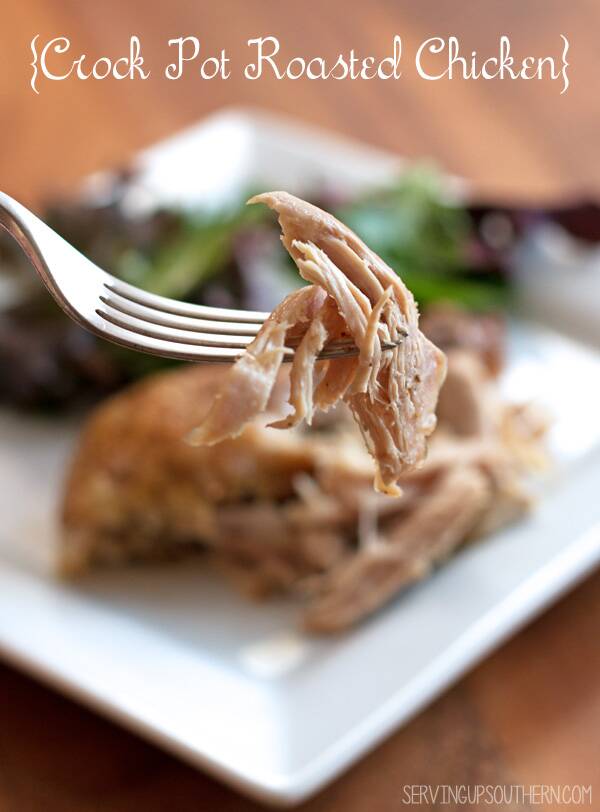 Crock Pot Roasted Chicken meat on a fork with a plate of of chicken and a mixed green salad in the background.