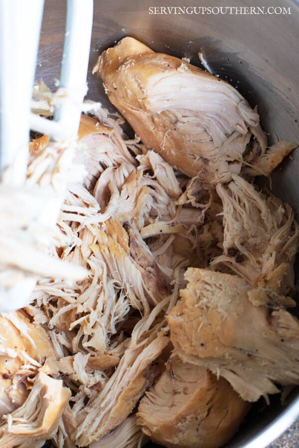 Simpe Shredded Chicken: A How-To Tutorial