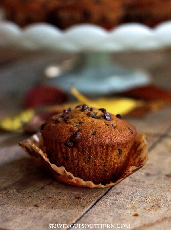 Pumpkin chocolate chips muffin on a wooden board