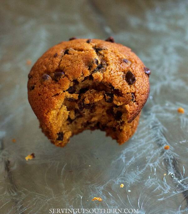 Pumpkin chocolate chip muffin on a glass surface