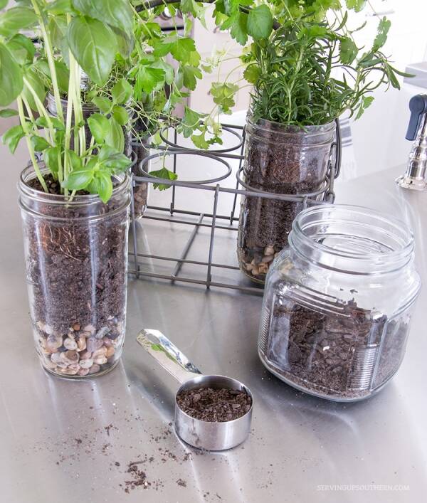 Mason Jar Indoor Herb Garden Uk - Herb Garden - Indoor Kit