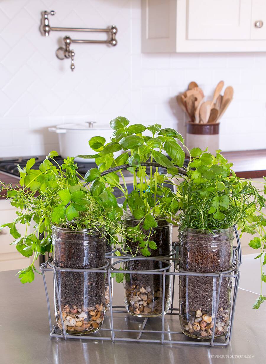 DIY Indoor Mason Jar Herb Garden | Serving Up Southern.com