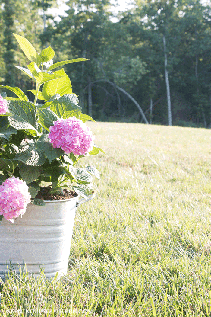 How To Age New Galvanized Containers / Serving Up Southern