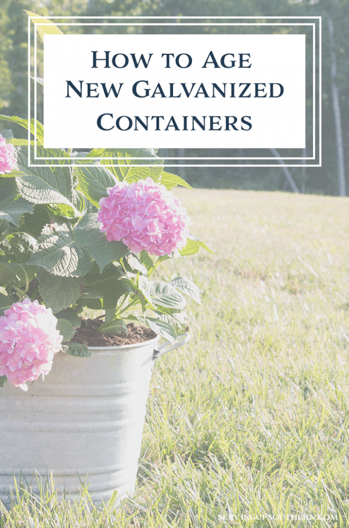 Aged galvanized container filled with beautiful pink hydrangeas sitting out in a yard with woodland trees in the background