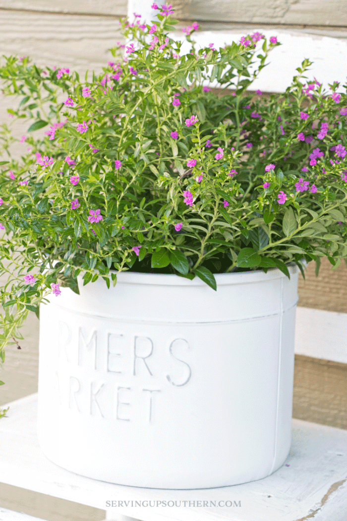 A Simple (New) Metal Flower Pot Makeover / Serving Up Southern