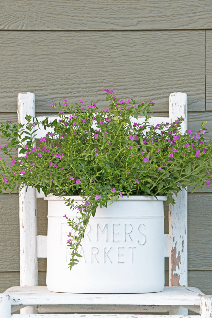 A Simple (New) Metal Flower Pot Makeover / Serving Up Southern