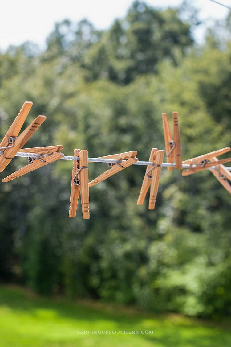 Twelve clothespins pinned on lines with trees in the background.
