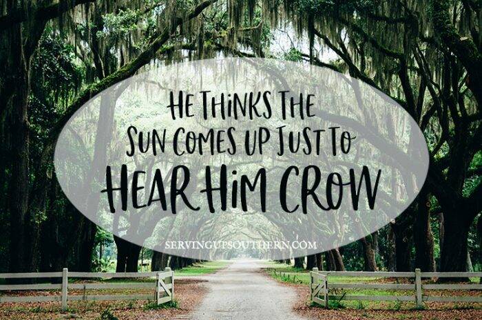 50 of the Best Southern Sayings | Serving Up Southern