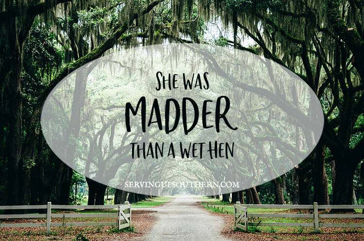 50 of the Best Southern Sayings