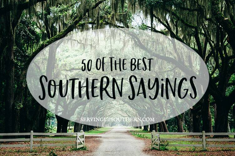 long southern driveway lined with trees covered in Spanish moss with text overlay of southern sayings