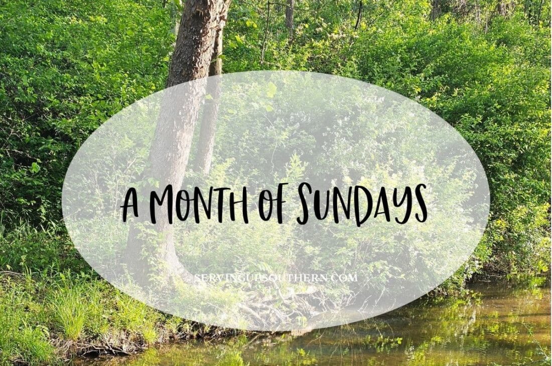 Southern saying "a month of Sundays" meaning