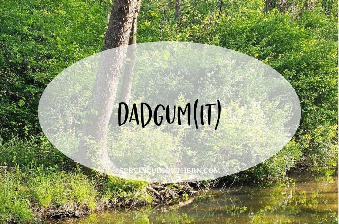 Southern saying "dadgum" meaning