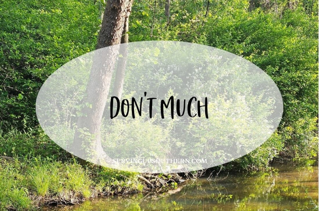 Southern saying "don't  much" meaning