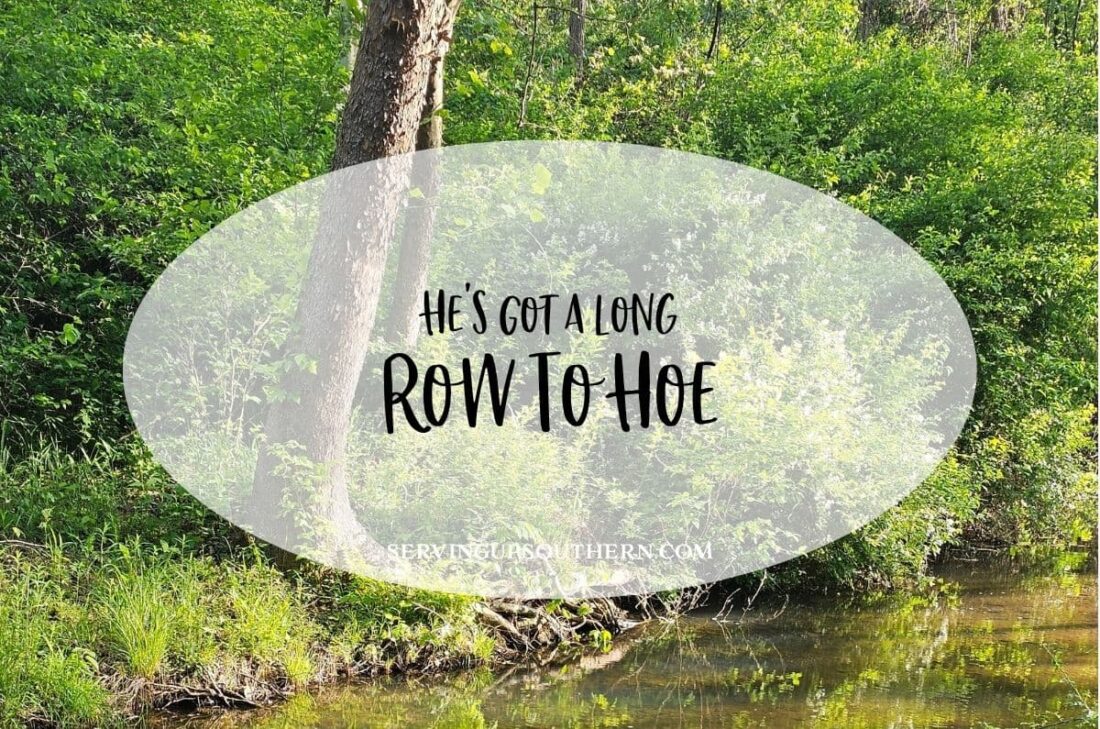 Southern saying "he's got a long row to hoe" meaning