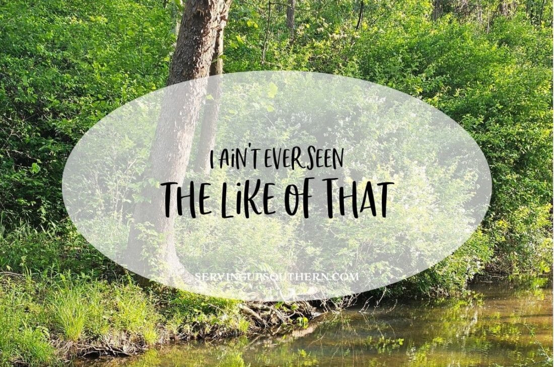 Southern saying "I ain't ever seen the like of that" meaning