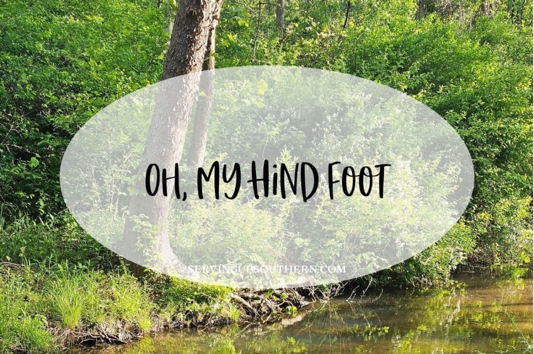 Southern saying "oh, my hind foot" meaning
