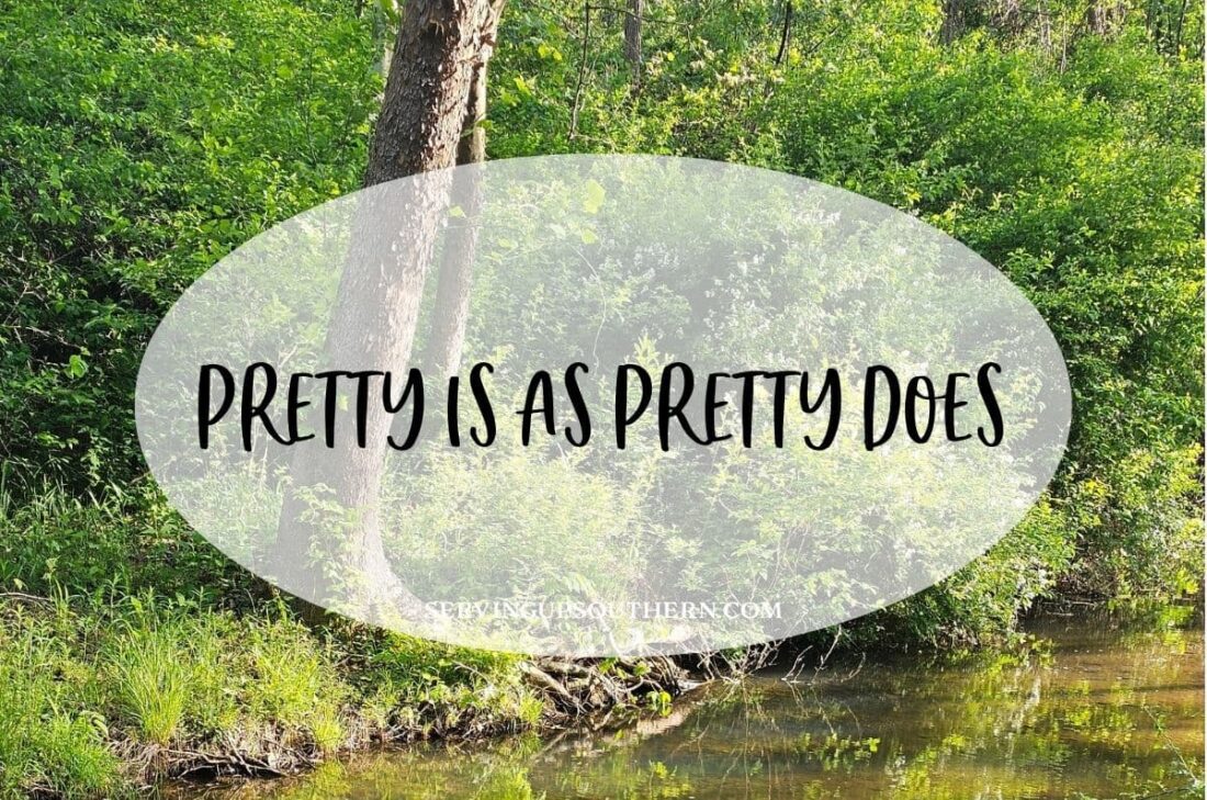 Southern saying "pretty is as pretty does" meaning