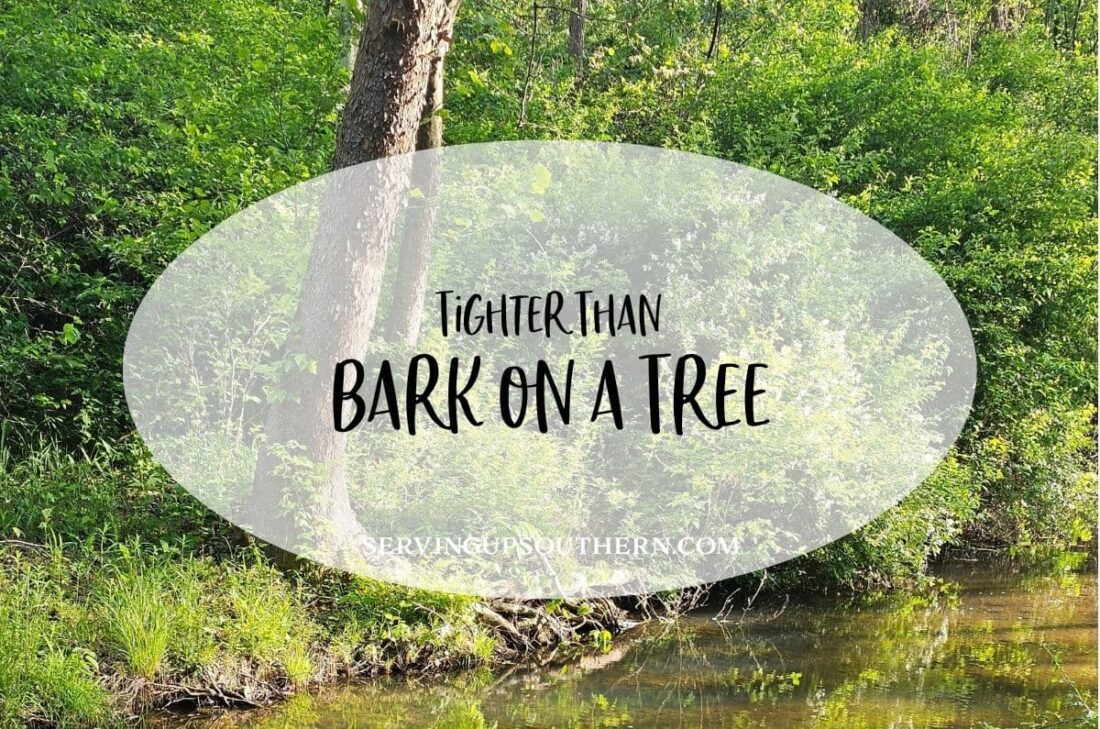 Southern saying "tighter than bark on a tree" meaning