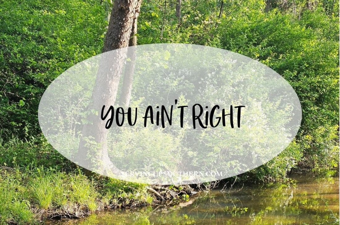 Southern saying "you ain't right" meaning